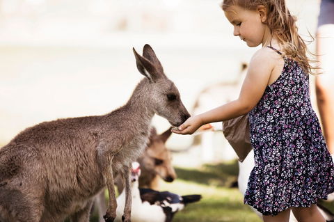 Oakvale Wildlife Park - Accommodation NT 1