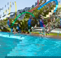 Oaklands War Memorial Swimming Pool - Accommodation NT
