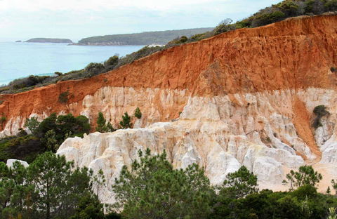 Pinnacles Loop Walking Track - Accommodation NT 0