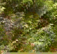 Powder Magazine walking track - Accommodation NT