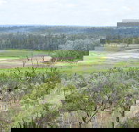 Princess Hills Girringun National Park - Accommodation NT
