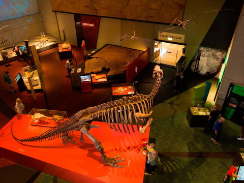 Queensland Museum - Accommodation NT 2