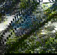 Rainforest Walking Track Hat Head National Park - Accommodation NT