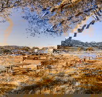 Rennix walking track - Accommodation NT