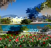 Royal Botanic Garden and the Domain - Accommodation NT
