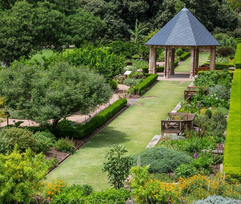Royal Botanic Garden And The Domain - Accommodation NT 1