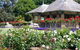 Royal Botanic Garden And The Domain - thumb 2