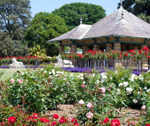 Royal Botanic Garden And The Domain - Accommodation NT 2