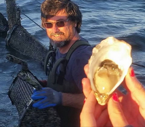 Southern Yorke Oysters - Accommodation NT 0