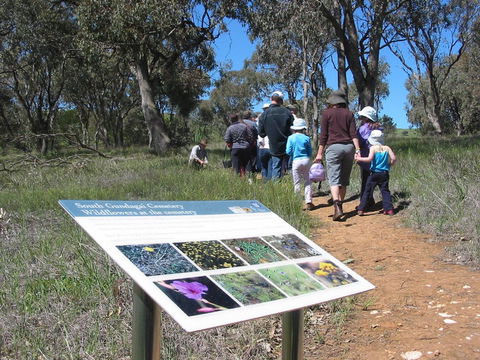 South Gundagai Woodlands Walk - NT Tourism 0