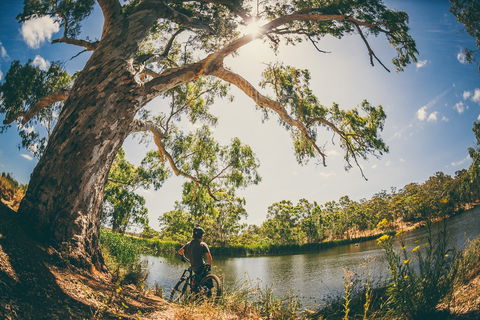 Sturt Gorge Recreation Park - Accommodation NT 0