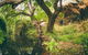 Sturt Gorge Recreation Park - thumb 1