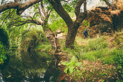 Sturt Gorge Recreation Park - Accommodation NT 1