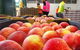 Sydney Produce Market - thumb 0