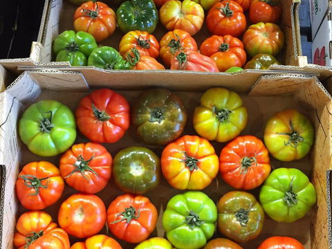 Sydney Produce Market - NT Tourism 1