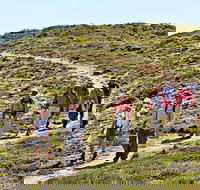 The Sole Walk at Hillocks Drive - Accommodation NT