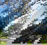 The Herbig Family Tree - Accommodation NT