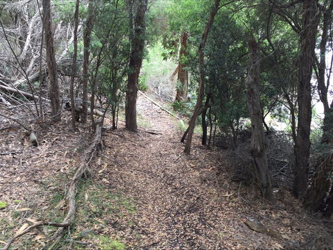 The Lady Barron Foreshore Walk - Accommodation NT 1