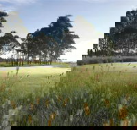 Twin Creeks Golf and Country Club - Accommodation NT