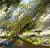 Wangaratta's Significant Trees Walks - Accommodation NT
