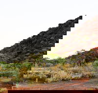 Whyalla Conservation Park - Accommodation NT