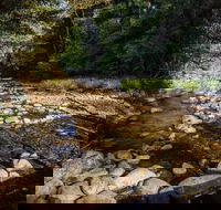 Wilson River picnic area - Accommodation NT