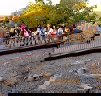 Australian Age of Dinosaurs - Accommodation NT