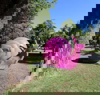Belmore Park - NT Tourism