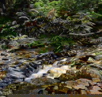 Budderoo National Park