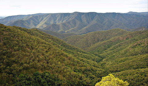 Budds Mare To Riverside Walking Track - Accommodation NT 0