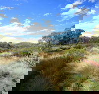 Bullocks walking track - Accommodation NT