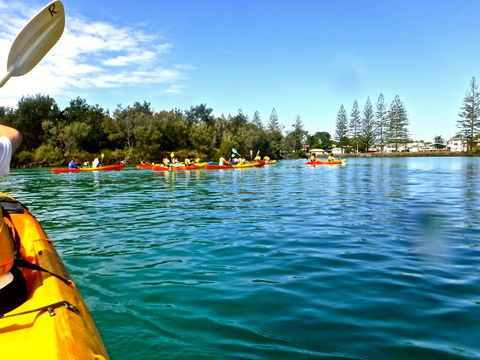 Byron Bay River Nature Kayak Tour - Accommodation NT 0