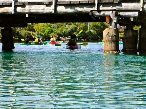 Byron Bay River Nature Kayak Tour - Accommodation NT 1