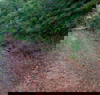 Cascade mountain bike trail - Accommodation NT