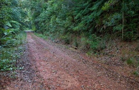 Cascade Mountain Bike Trail - Accommodation NT 0