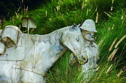 Centenary Park - Accommodation NT 0