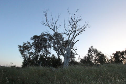 Cooleman Ridge - Accommodation NT 1