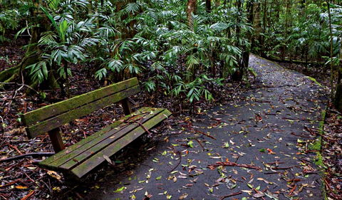 Coombadjha Nature Stroll - Accommodation NT 0