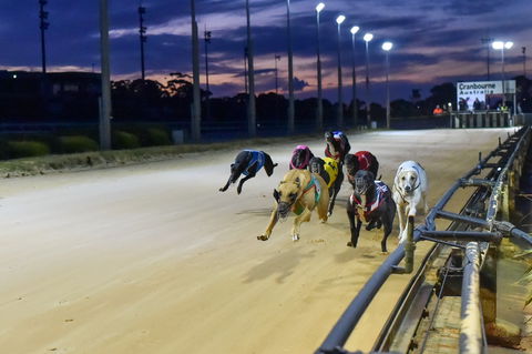 Cranbourne Greyhound Racing Club - Accommodation NT 1