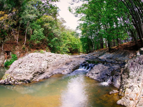 Currumbin Rock Pools - Accommodation NT 0