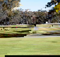 Deniliquin Golf Club - Accommodation NT