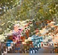 Dubbo - Accommodation NT