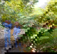 Endeavour Fern Gully Walks - Accommodation NT