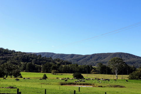 Farm Visit  Dungog - Accommodation NT 1