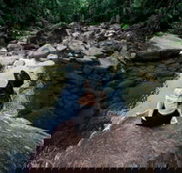 Finch Hatton Gorge - Accommodation NT