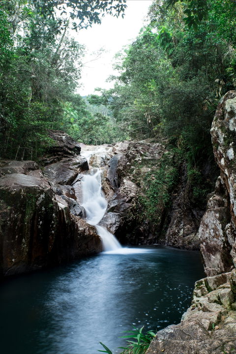 Finch Hatton Gorge - Accommodation NT 1