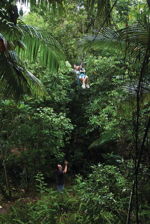 Finch Hatton Gorge - Accommodation NT 2