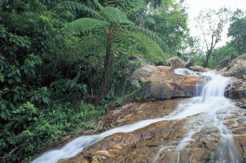 Finch Hatton - Accommodation NT 0