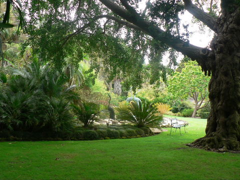 Friends Of Geelong Botanic Gardens - Accommodation NT 1