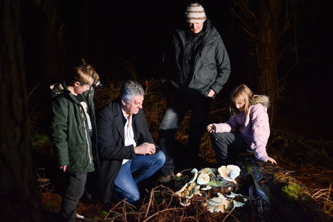 Ghost Mushroom Lane - Accommodation NT 2